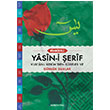 Fihristli Yasini erif (Cami Boy) Semerkand Yaynlar
