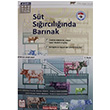 St Srclnda Barnak Yayn Dnyamz Yaynlar
