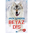 Beyaz Di Jack London Tutku Yaynevi