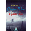 Yreime Dokun Uyandr Beni Habib Mert Firuze Yaynlar