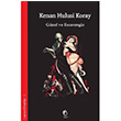 Gzel ve Esrarengiz Kenan Hulusi Koray Laputa Kitap