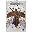 Dnm Franz Kafka Bildiin Kitap