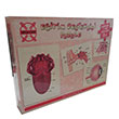 lkretim 7.Snf Eitim Destekisi Kulak Burun Gz Dil 4X90 Puzzle Gordion