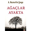 Aalar Ayakta A. Necmettin anga Babali Kitapl