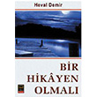 Bir Hikayen Olmal Heval Demir Babali Kitapl
