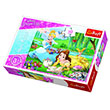 Disney Princess Belle And Cinderel 30 Para ocuk Puzzle Trefl