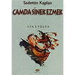 Camda Sinek Ezmek Sadettin Kaplan Aliolu Yaynlar