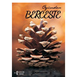 zmden Berceste Yasemin Kanat Kitap Ota Yaynevi