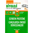 niversiteye Hazrlk Biyoloji Genden Proteine Canllarda Enerji Dnmleri Konu Anlatml Soru Bankas ap Yaynlar