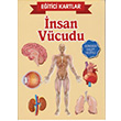 Eitici Kartlar nsan Vcudu Teleskop Popler Bilim