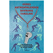 Gre Antrenrlerinin Davran Tarzlar Gece Akademi