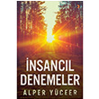 nsancl Denemeler Alper Yceer Cinius Yaynlar