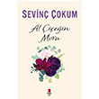 Al iein Moru Sevin okum Kap Yaynlar