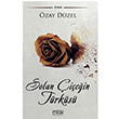 Solan iein Trks zay Dzel Milay Yaynlar