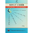 Soyut Cebir Paradigma Akademi Yaynlar