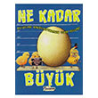 Ne Kadar Byk Boyutlar Karlatrmann Tuhaf Yollar Jessica Gunderson Teleskop Popler Bilim