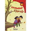 Sonbahar Yapra Carl Emerson Teleskop Popler Bilim