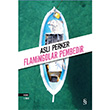 Flamingolar Pembedir Asl Perker Everest Yaynlar