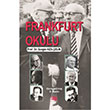 Frankfurt Okulu Sezgin Kzlelik An Yaynclk