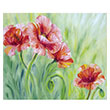 Gelincik 1000 li Puzzle 68x48 Keskin Color