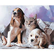 Kedi Kpek 1000 li Puzzle 68x48 Keskin Color
