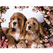 Kpekler ve Gller 500 l Puzzle 34x49 Keskin Color