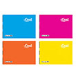 Cool 17x25 20 Yaprak Spralli PP Kapak Defter Keskin Color