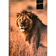 Sha Derbent 17x24 120 Yaprak izgili Spralli Sert Kapak Defter Keskin Color