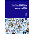 Sosyal Politika Dora Basm Yayn
