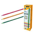 Evolution 646 Kurun Kalem 918487 Bic