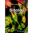 Sitoloji Palme Yaynevi