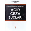 Ar Ceza Sular Bilge Yaynevi