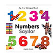 Numbers Saylar Milet Yaynlar