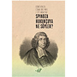 Spinoza Hukukuya Ne Syler? Zoe Kitap