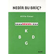 Nedir Bu Bri Atilla Cesur Alfa Yaynlar