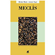 Meclis  Michael Hardt Ayrnt Yaynlar