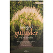 Fotoraf Gller Hlya Snmez Mola Kitap