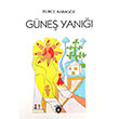 Gne Yan Burcu Karagz Dorlion Yaynevi