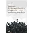 Feminizm Postkolonyal Feminizm ve Toplumsal Cinsiyet Ayla Ouz izgi Kitabevi Yaynlar