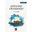 iirimizde Ortadou Ali Emre Temmuz Yaynlar
