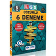 8. Snf LGS zml 6 Deneme Yant Yaynlar
