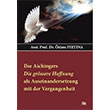 Ilse Aichingers Die Grssere Hoffnung Als Auseinandersetzung Mit Der Vergangenheit zlem Frtna An Yaynclk