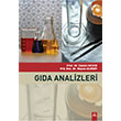 Gda Analizleri Dora Basm Yayn