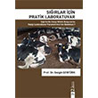 Srlar in Pratik Laboratuvar Sezgin entrk Dora Basm Yayn