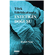Trk Edebiyatnda Estetiin Douu Halef Nas Hece Yaynlar