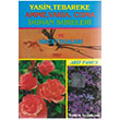 Yasin Tebareke Amme Vaka Cuma Duhan Sureleri ve Hacet Dualar Arif Pamuk Pamuk Yaynclk
