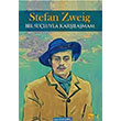 Bir Suluyla Karlamam Stefan Zweig Tutku Yaynevi