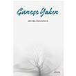 Gnee Yakn Zeynel zkayran Expoze Kitap