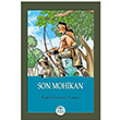 Son Mohikan James Fenimore Cooper Maviat Yaynlar