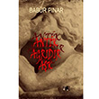 Antik Ağrıdır Aşk Babür Pınar Nitelik Kitap